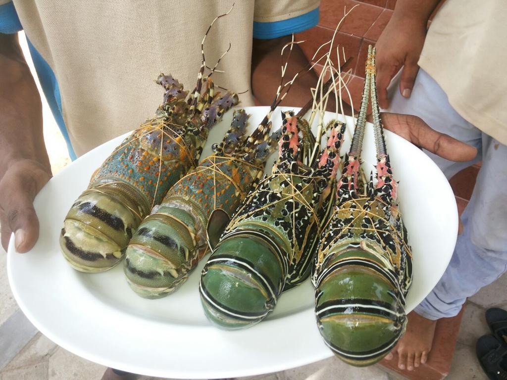 Welle Wadiya Beach Villa Kalpitiya Eksteriør bilde